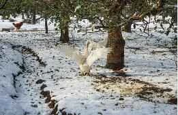 Cách tự làm mặt nạ dưỡng ẩm da mặt