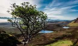 Loại sữa rửa mặt nào tốt nhất?