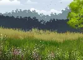 Những sản phẩm chăm sóc da nào tốt để sử dụng vào mùa thu?