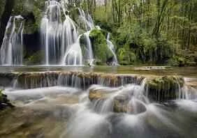 Các loại rau có thể làm chậm quá trình lão hóa!