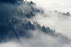 Nước cân bằng da dưỡng ẩm được đánh giá cao nhất