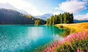 11 loại sữa rửa mặt tốt nhất nên mua tại Watsons