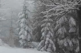 Các loại mặt nạ ngủ được khuyên dùng có thể làm trắng da trong khi bạn ngủ.