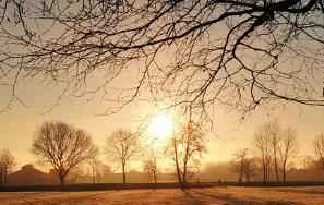 4 loại serum kiểm soát dầu thiết yếu cho đầu mùa hè