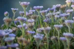 8 sản phẩm trị mụn được các cô gái yêu thích nhất