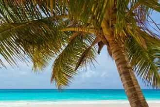 Bốn loại mặt nạ làm trắng da hiệu quả dành cho mùa hè, giúp làm sáng da.